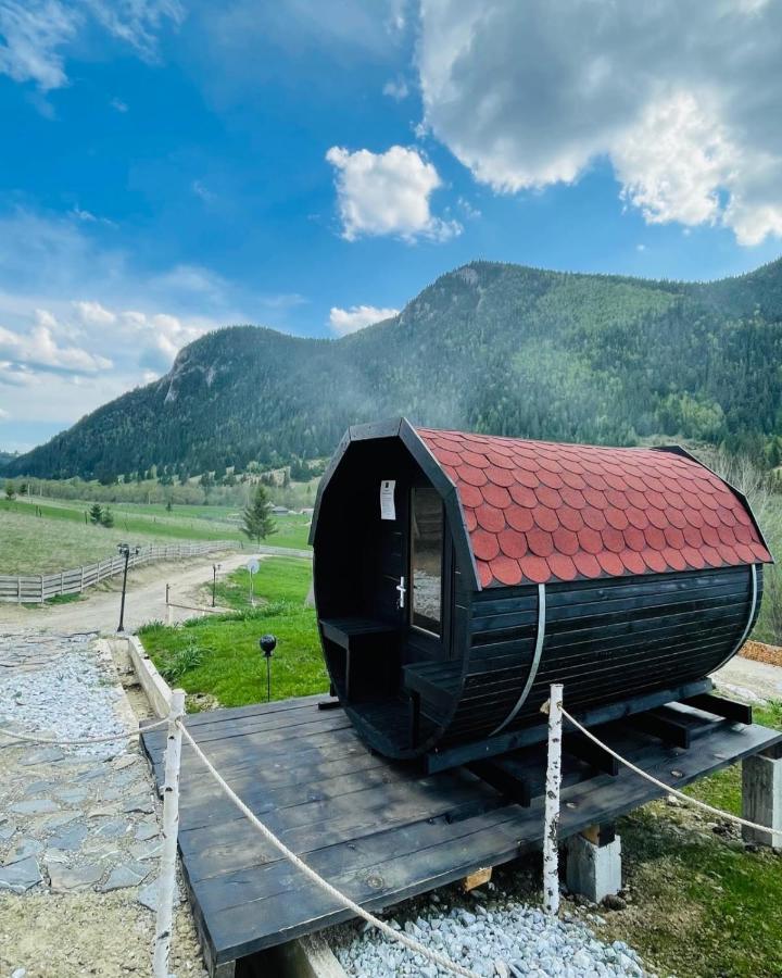 Resort Valea Tatarilor لاكو روسو المظهر الخارجي الصورة